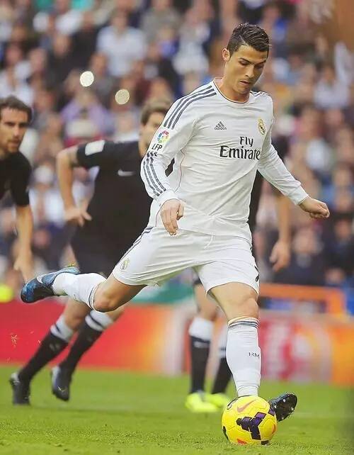 因为他们将 因为他们将