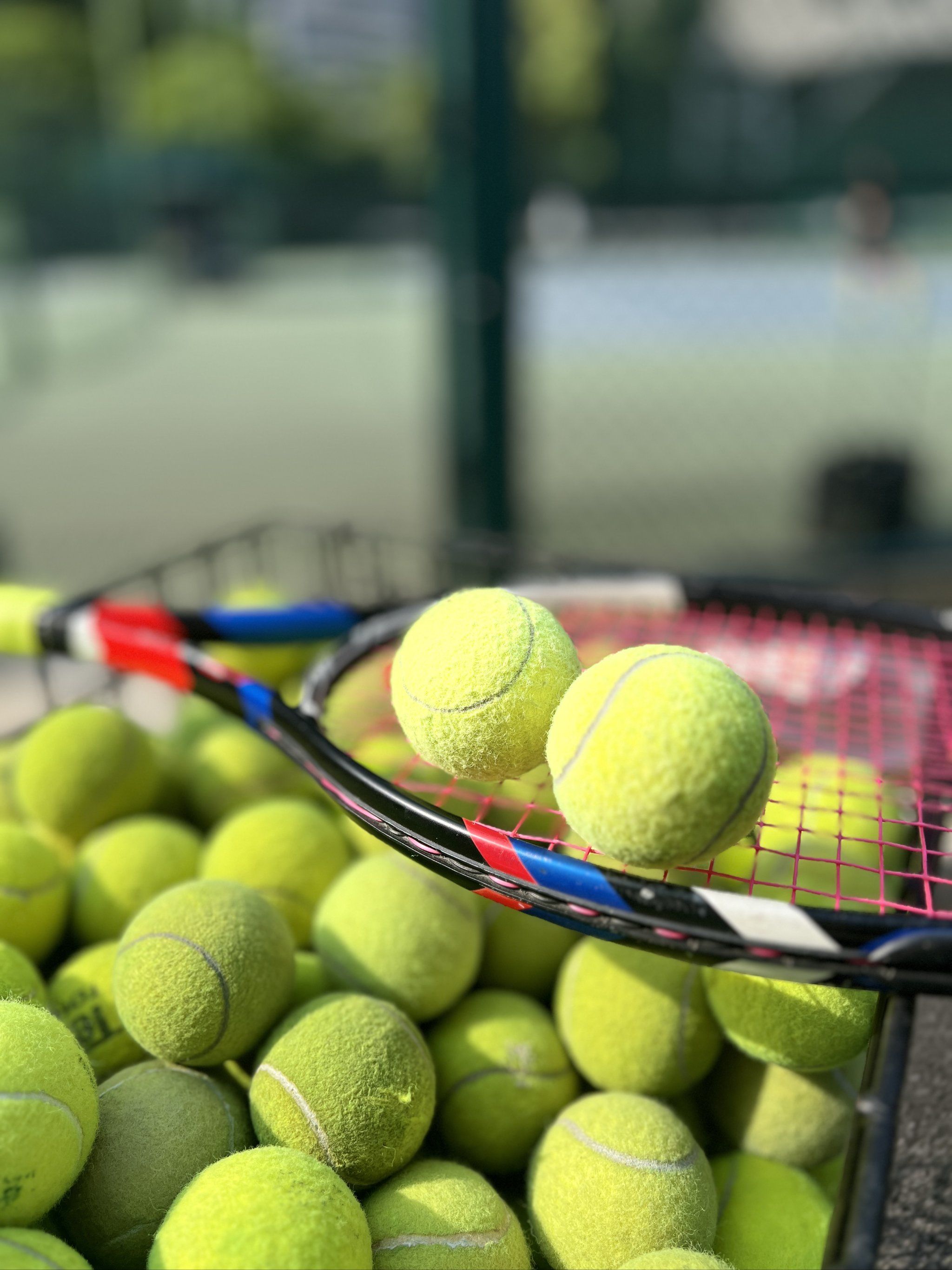 以日本职棒 以日本职棒